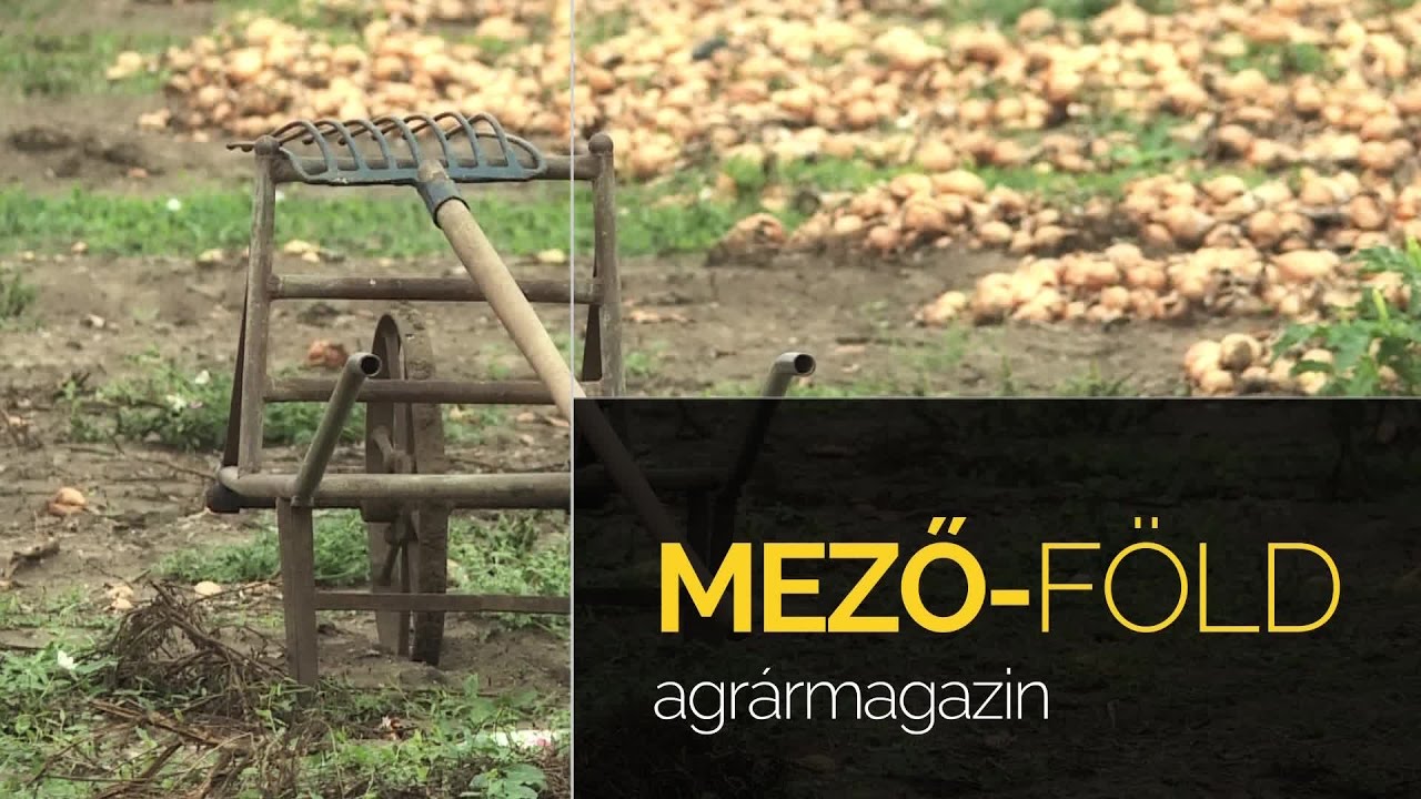 Mező-Föld - agrármagazin - 2017.03.31.