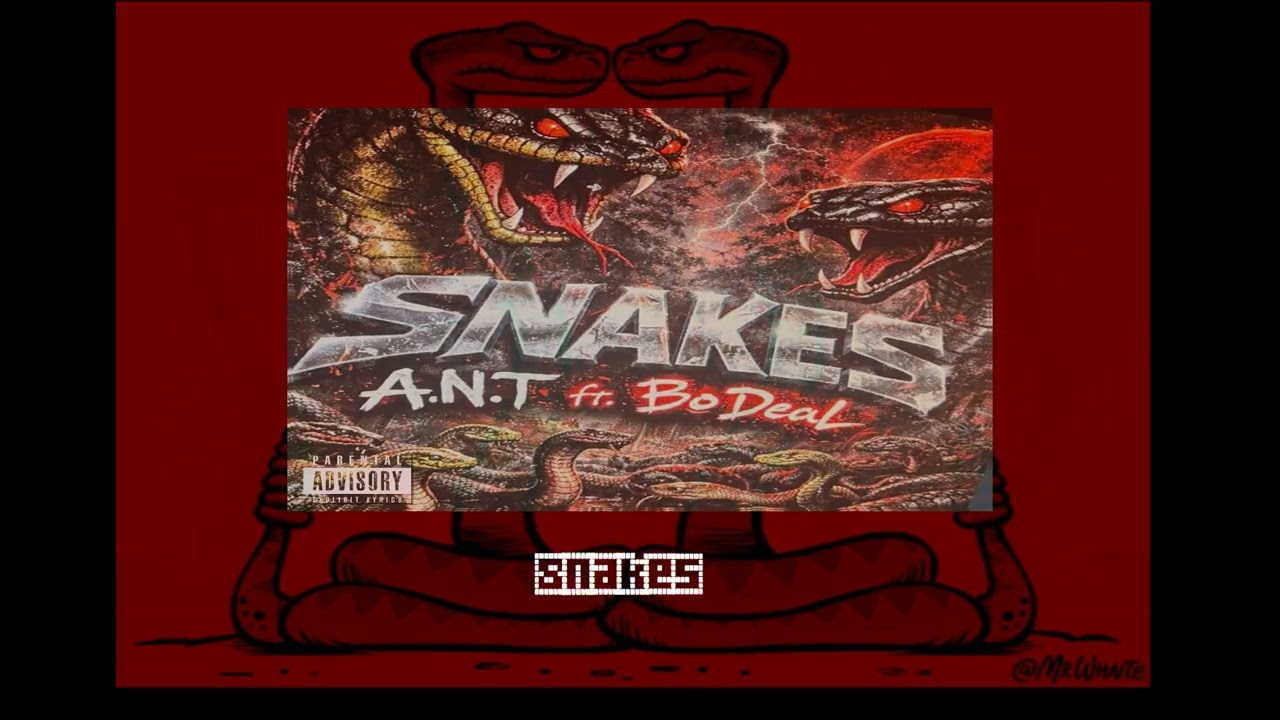 A.N.T - Snakes Feat. Bo Deal (Visualizer)