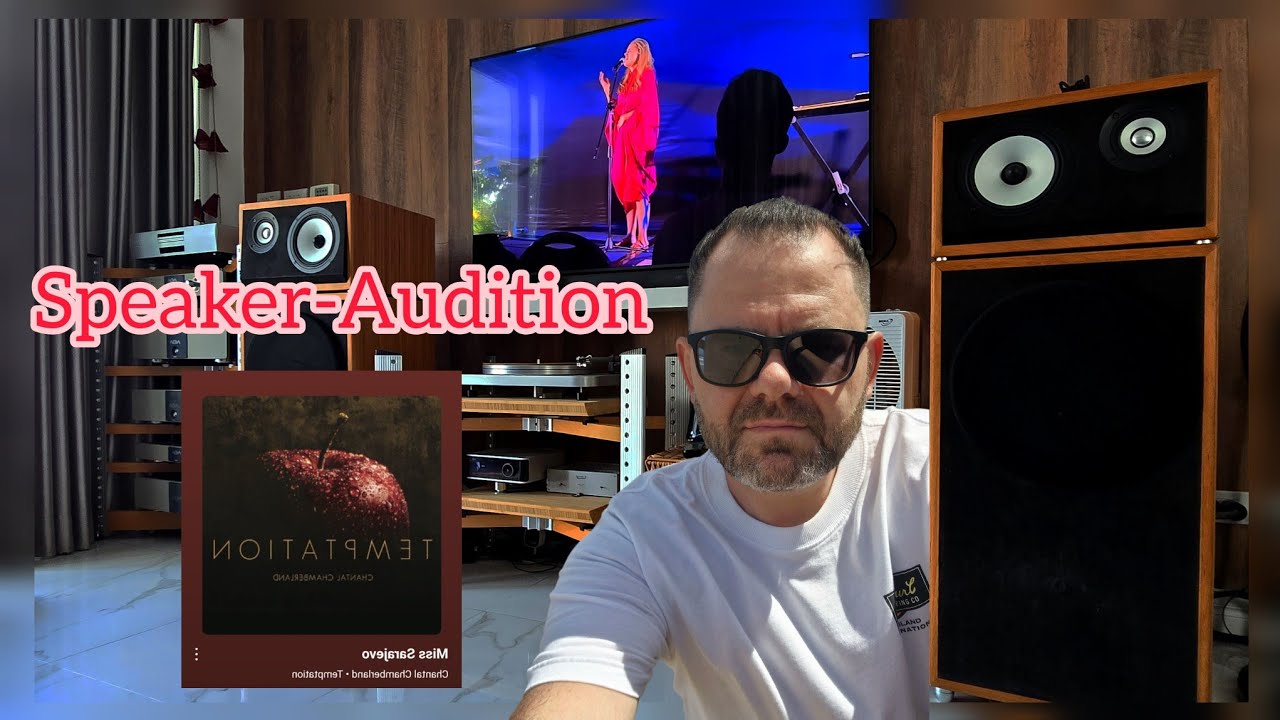 Part 5 #audiophile #highend #loudspeaker #audio #stereo #hifi
