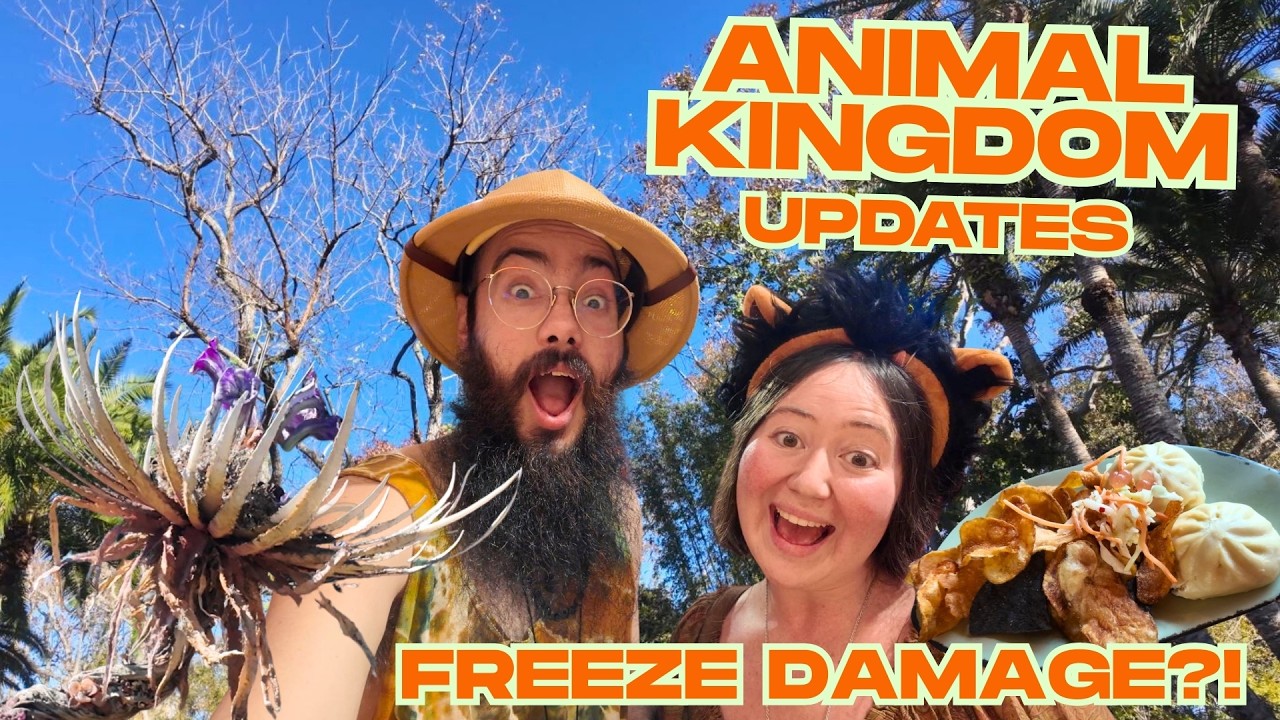 The Florida Freeze Hit Animal Kingdom HARD ❄️🌴 | Park Damage, Food & Finds