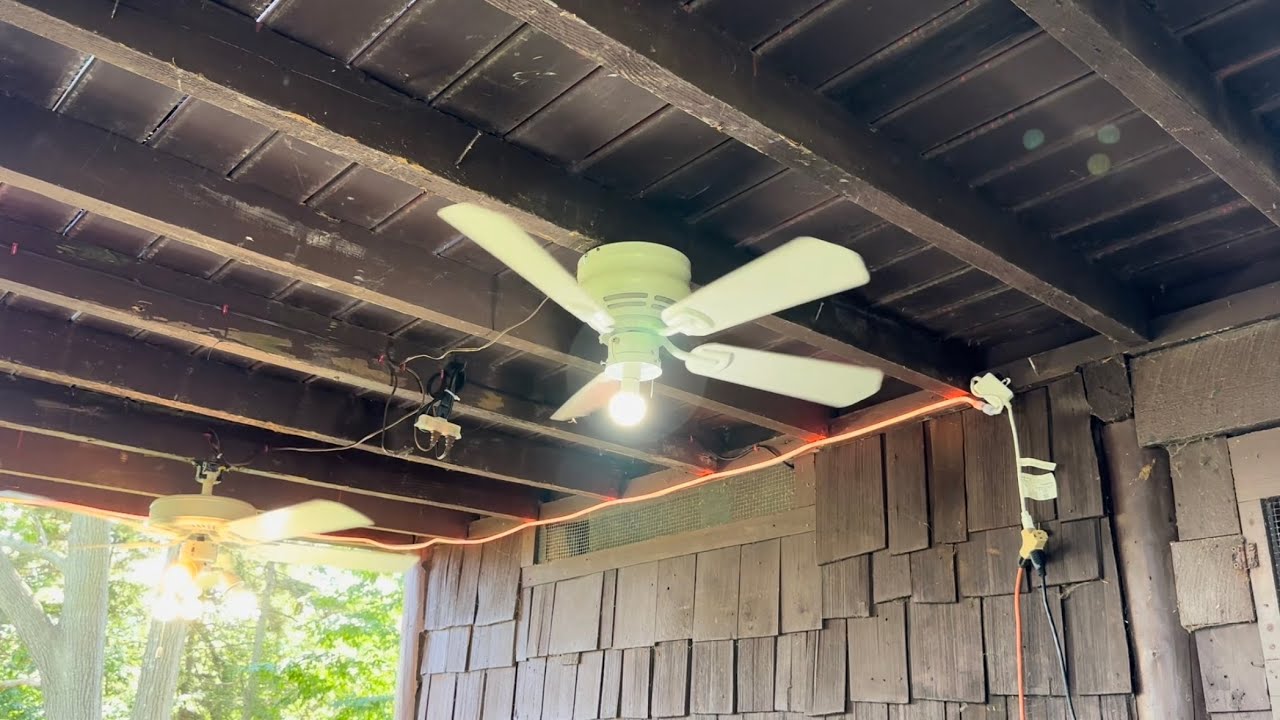 Ceiling Fan Destruction #52
