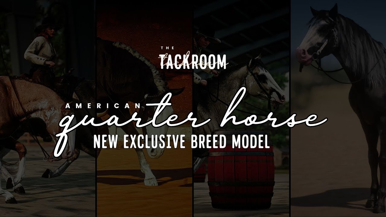 Introducing The American Quarter Horse - A Tackroom Exclusive Custom Breed