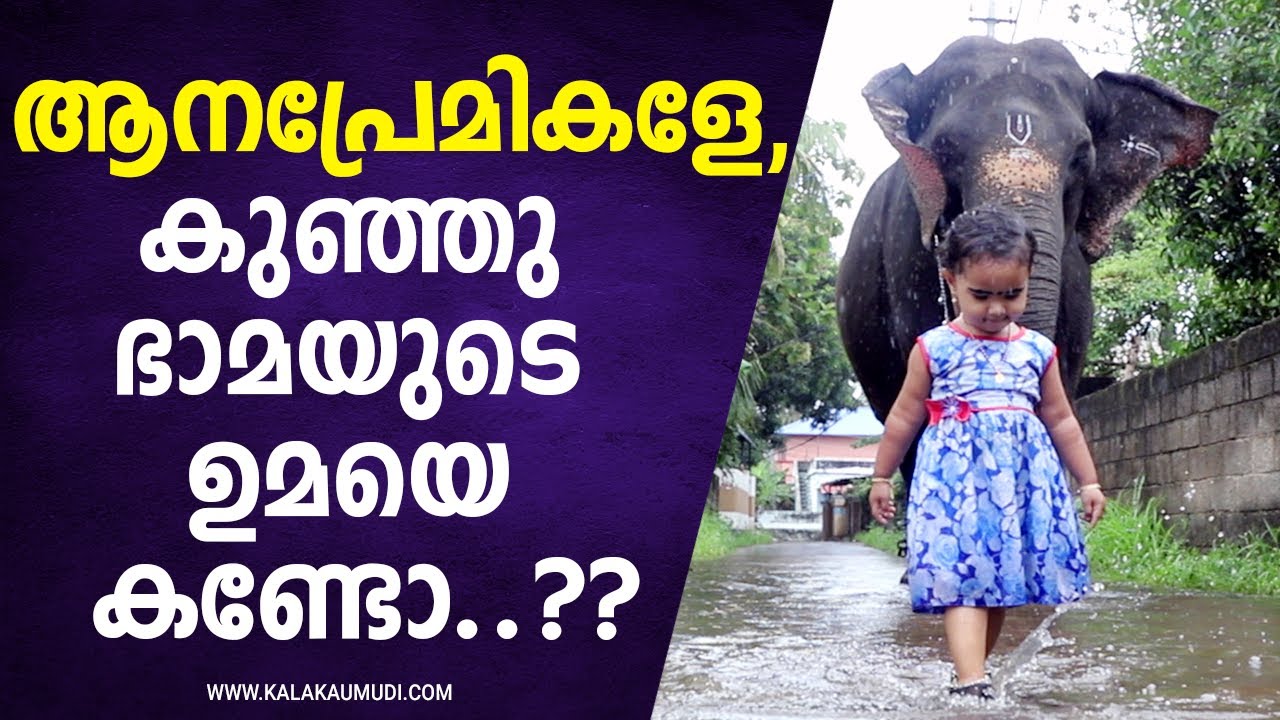ആനപാപ്പാനെ കണ്ട് ഞെട്ടണ്ട, ഇത് അവളുടെ സ്വന്തം ആനയാ | Kerala Elephant Umadevi & Cute Baby Girl Bhaama