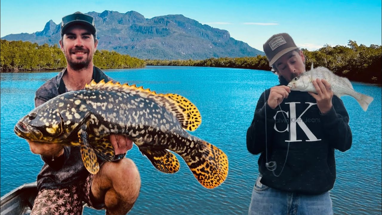 Live baiting for Barramundi in North QLD (Hinchinbrook)