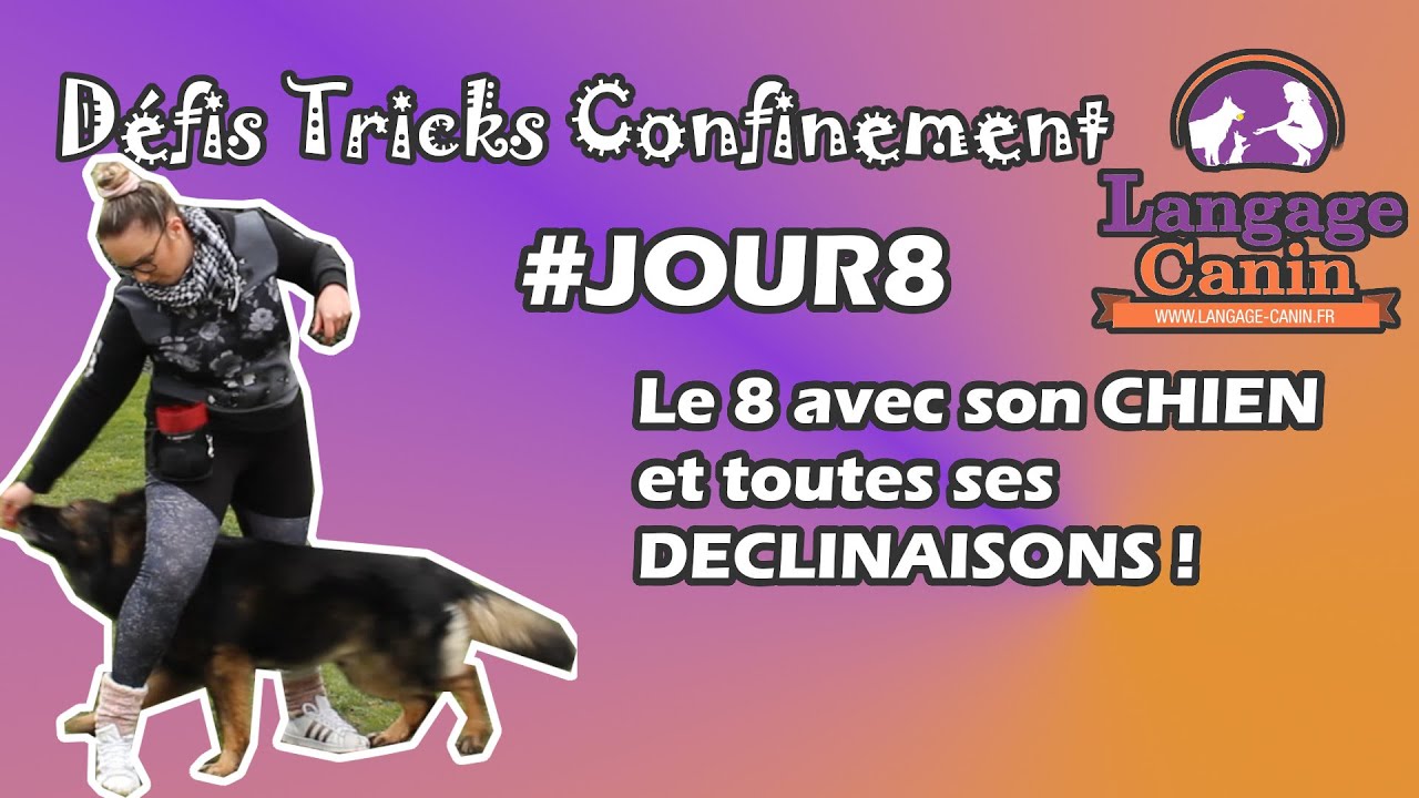 #JOUR8 // Faire le 8 à son CHIEN // DEFIS TRICKS CONFINEMENT