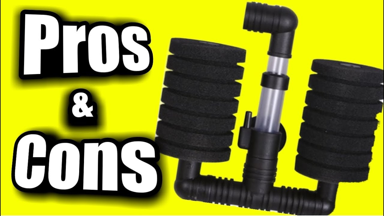 Dual Sponge Filter | Top 3 Pros and Cons of an Air Driven Aquarium Filter