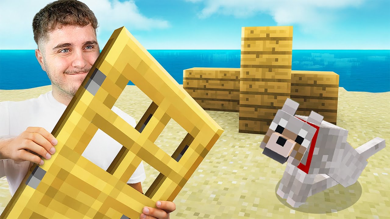 Incep De la 0 pe Minecraft..