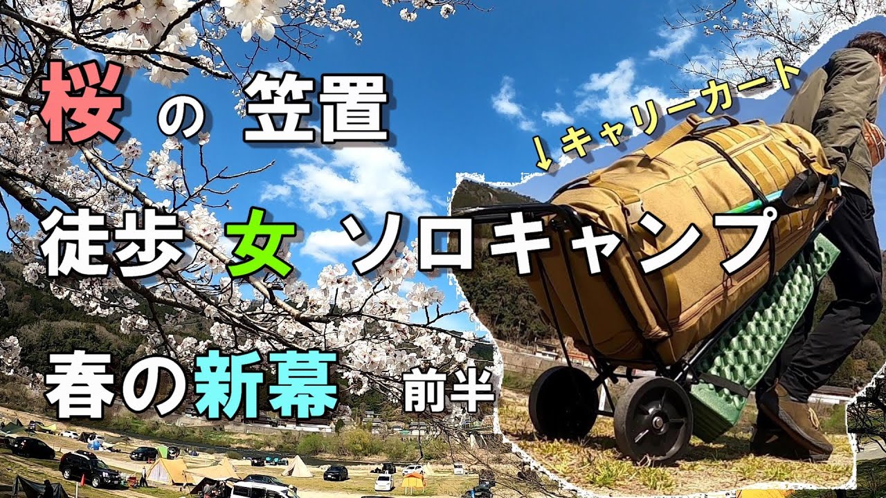 【桜の笠置と新幕テント】徒歩女子ソロキャンプ 前半【キャリーカート】笠置キャンプ場/車なしキャンプ/野点【solo camping in japan】/Japanese cherry blossoms