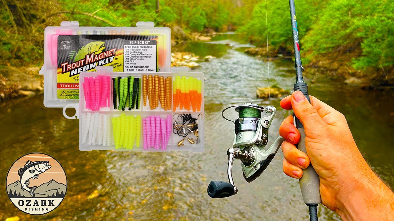 Ultralight Creek Fishing for Multiple Species!