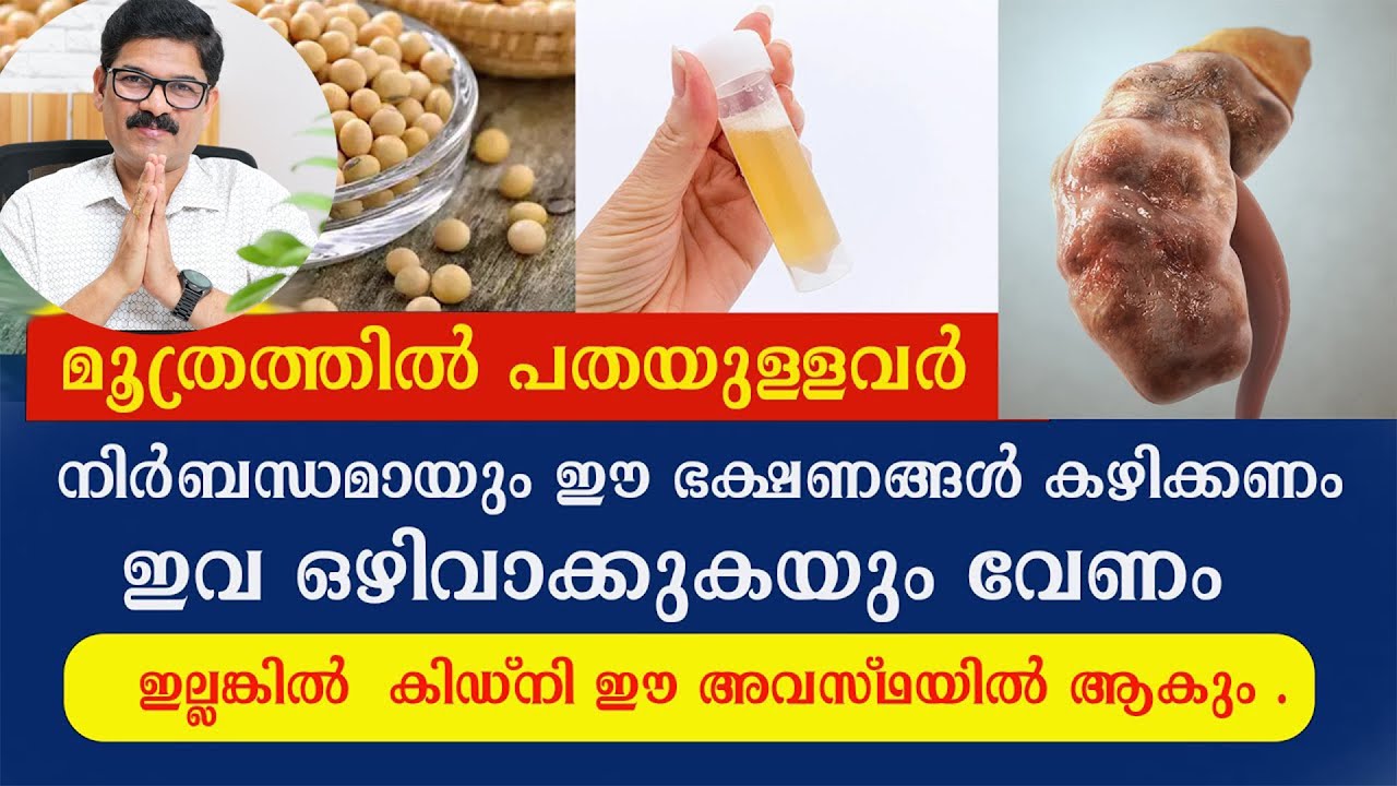 ഈ രീതിയിൽ പത കാണുന്നുണ്ടോ ഈ ഭക്ഷണങ്ങൾ കഴിക്കണം ,ഇവ ഒഴിവാക്കുകയും വേണം ഇല്ലങ്കിൽ കിഡ്‌നി നശിക്കും