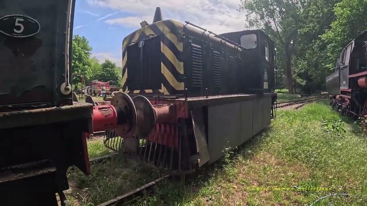 Bressingham Steam Museum and Gardens 29 May 2025