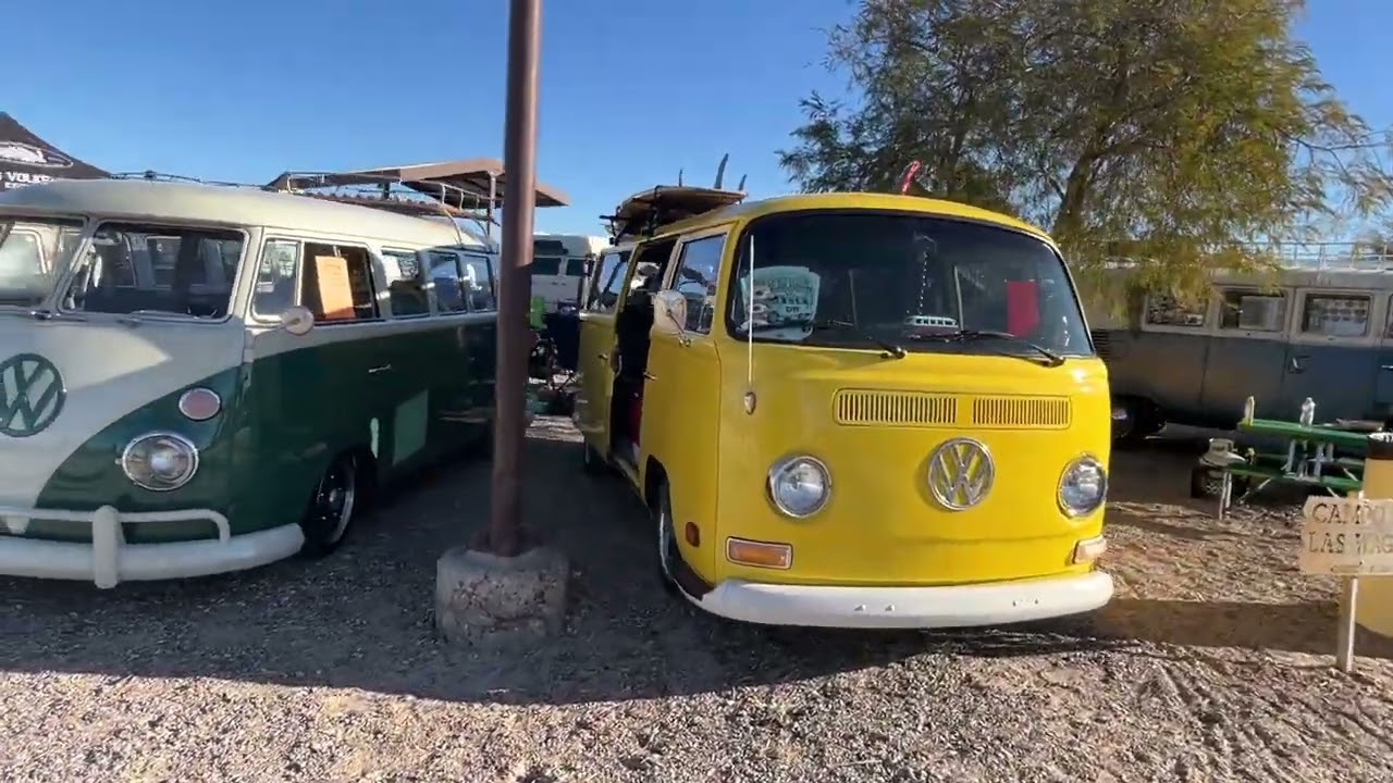 2024 Buses By The Bridge in Lake Havasu City Arizona - U.S.A.   Volkswagen, VW Vanagon, VW Westfalia