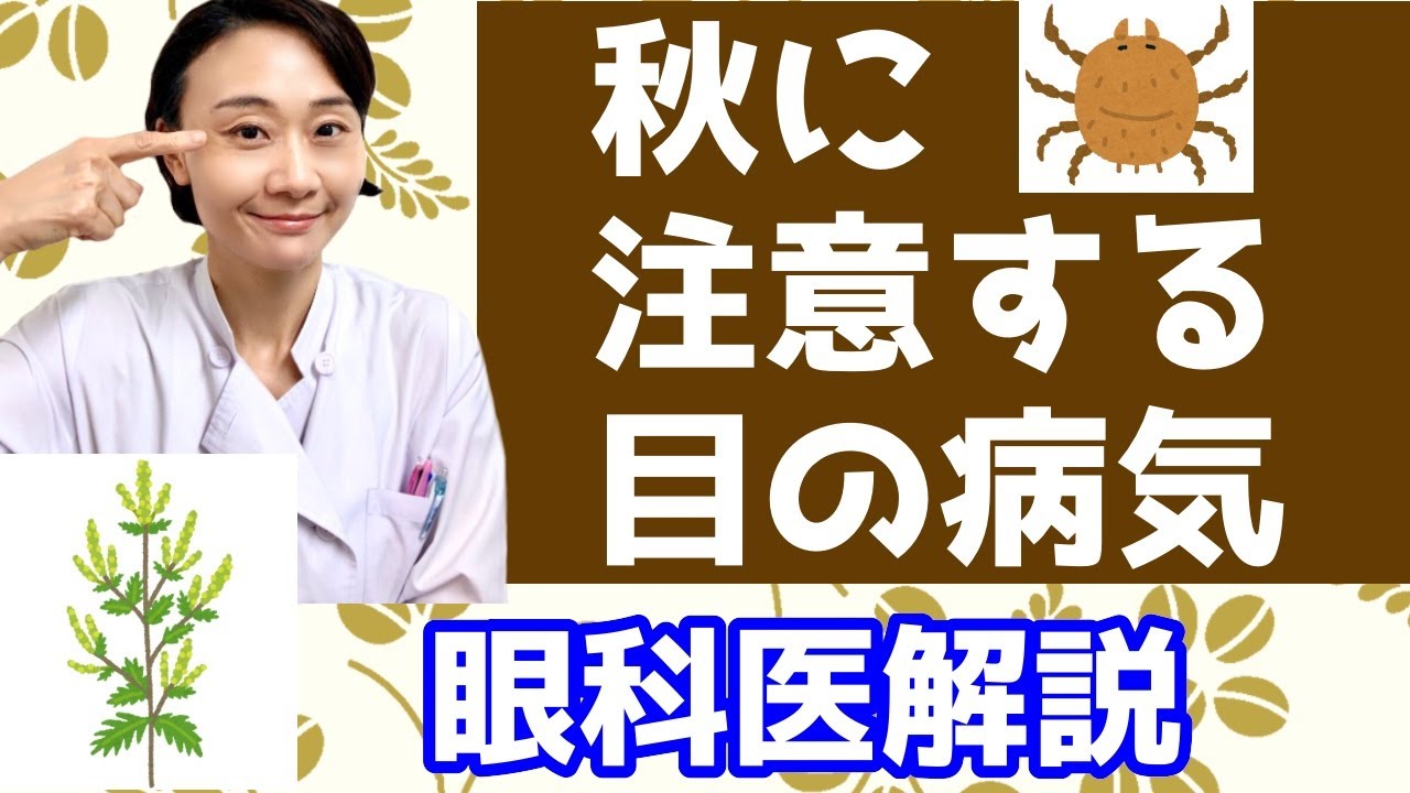 秋に注意する目の病気！ブタクサ？ダニ？眼科医が解説します。