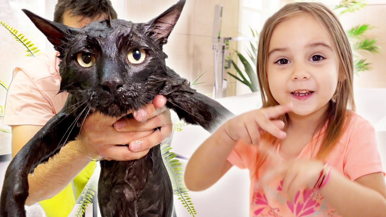 🐈‍⬛ NEGRUȚ este Răsfățat de BRI 👧 și Toată FAMILIA 👨‍👩‍👧👨‍👩‍👧‍👧 24 de ORE ⏰