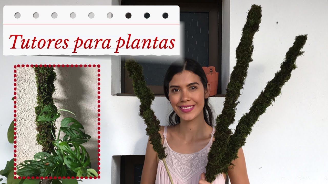 Tutor / Tótem / soporte para plantas trepadoras
