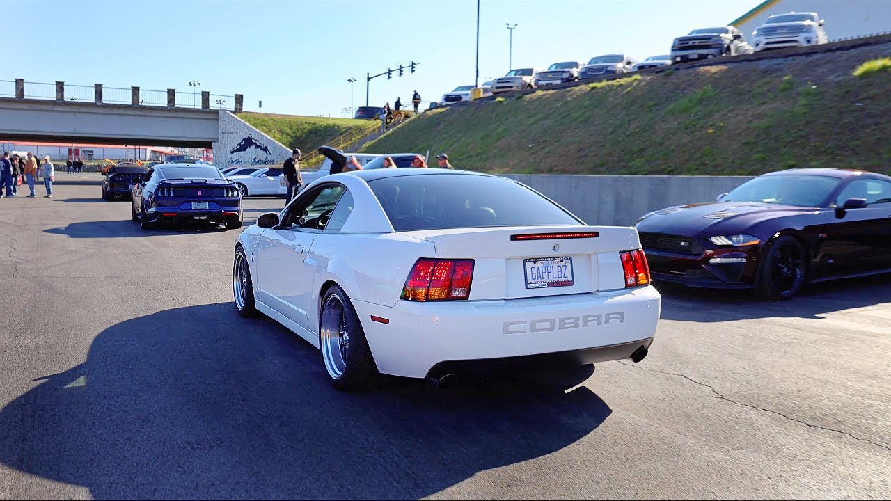 Mustangs Cruising in/out of Quaker Steak Meet - Ponies in The Smokies 2023
