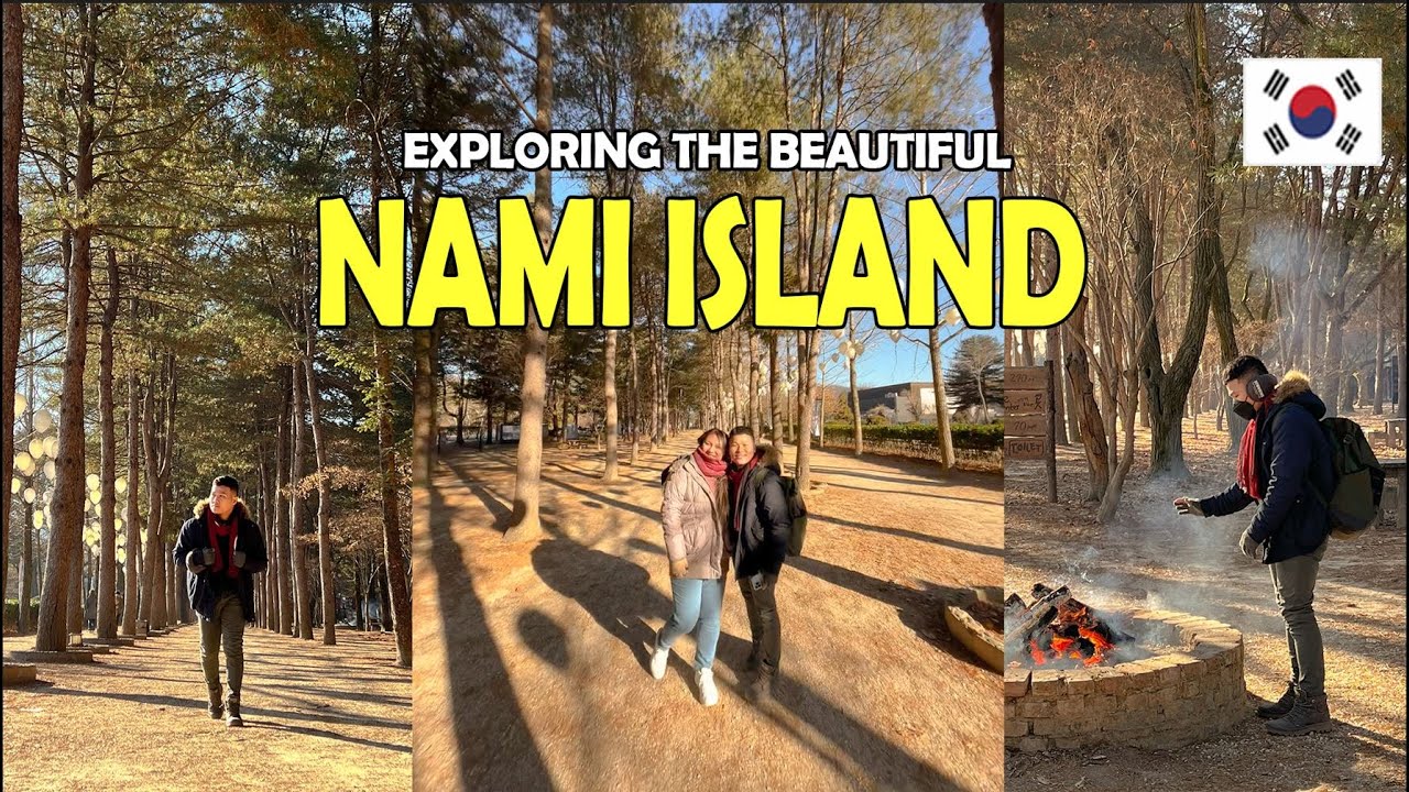 NAMI ISLAND WINTER: How To Go + What  To Do | South Korea Travel Vlog