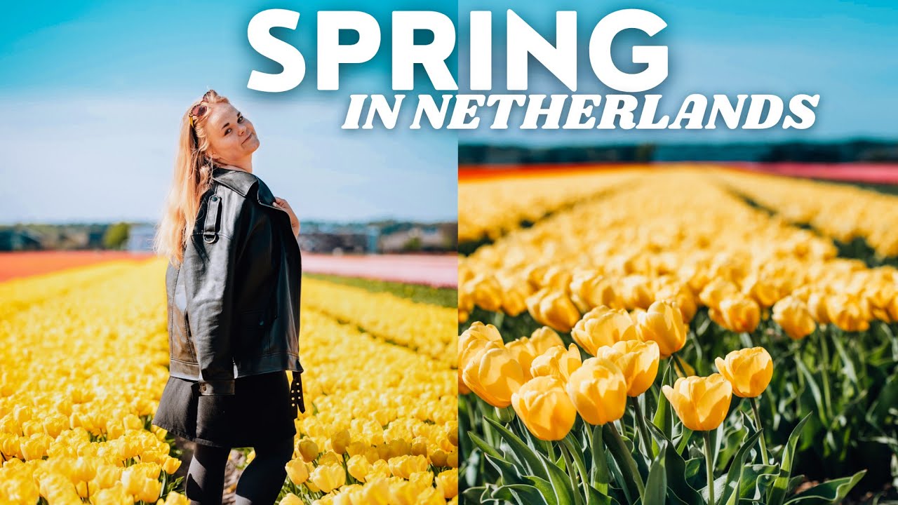 Spring in The Netherlands vlog 🌷 Tulip fields, picnic, bike riding