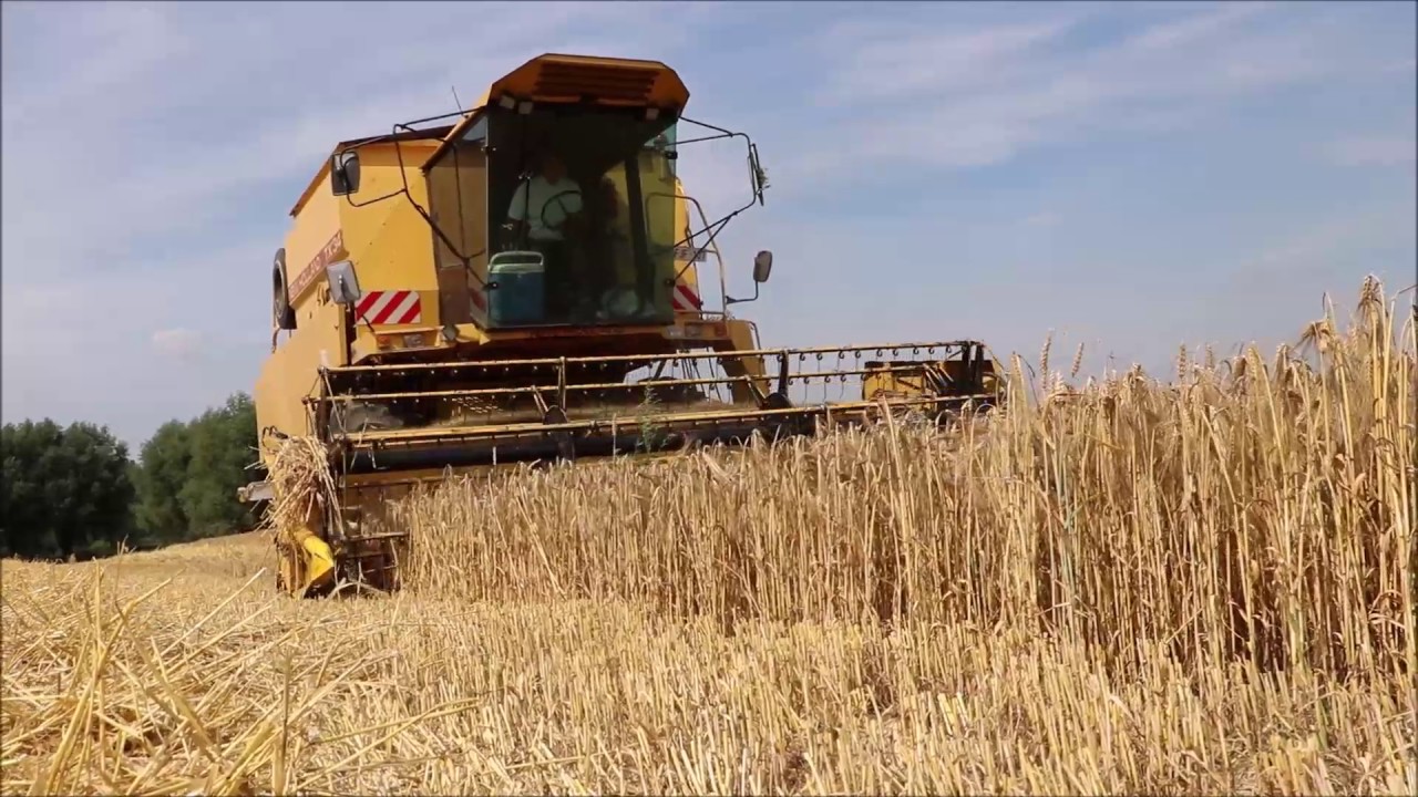 barley harvest with a new holland tx 34 | start harvest 2017