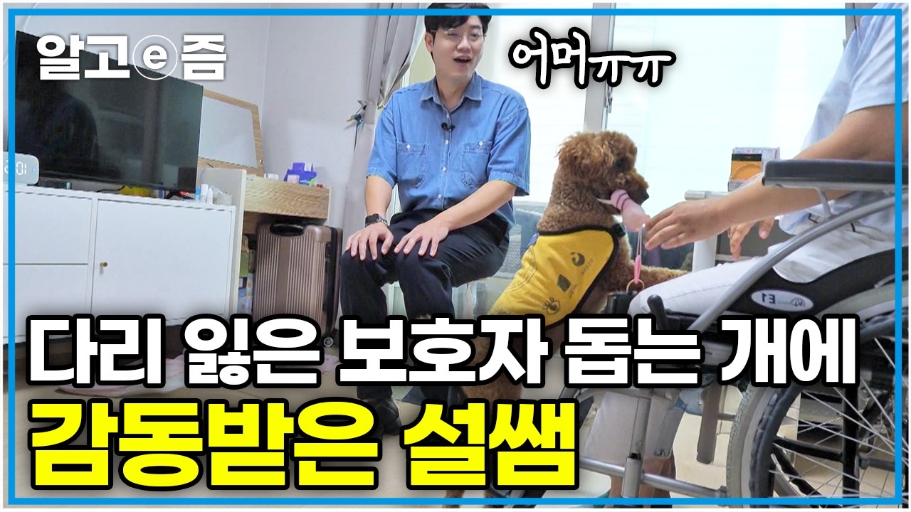 “엄마, 제가 있잖아요” 몸이 불편한 사람들을 위해 훈련 중인 개부터 희귀병 보호자의 든든한 동반자까지｜세상에 나쁜 개는 없다｜알고e즘