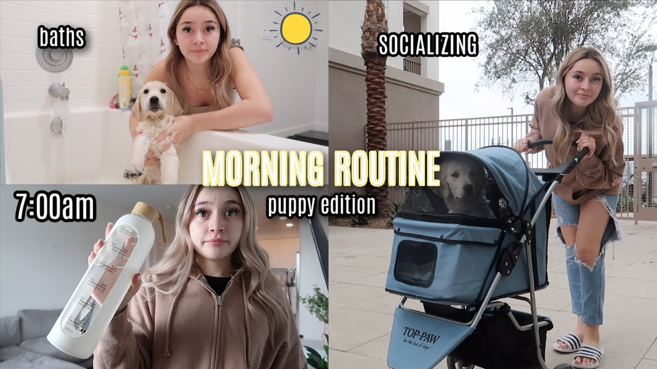 My 7am morning routine with a PUPPY (golden retriever)