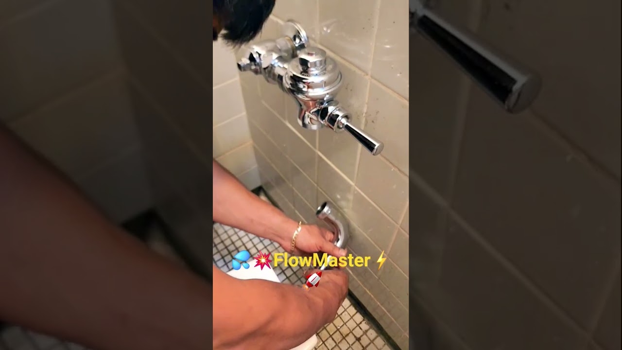 🚽🔧Replace Flushometer Fast