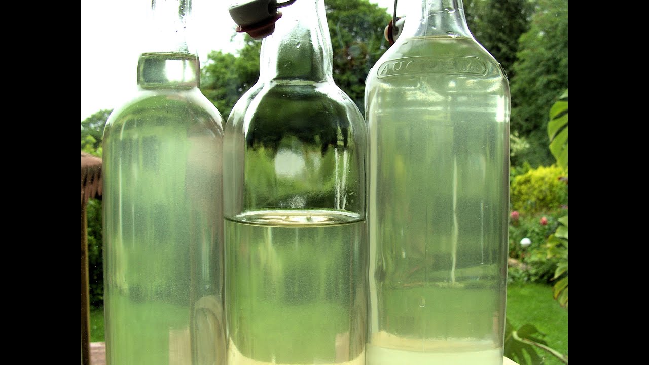 Holundersekt