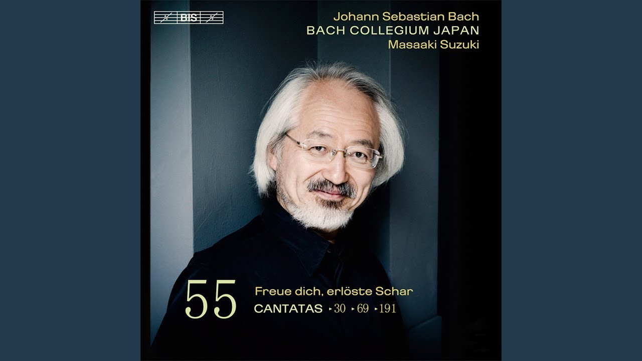 Freue dich, erlöste Schar, BWV 30, Pt. 2: VIII. Ich will nun hassen