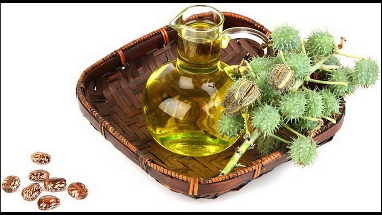 Apply Castor Oil For Faster Eyebrow Hair Growth How To Use At Home