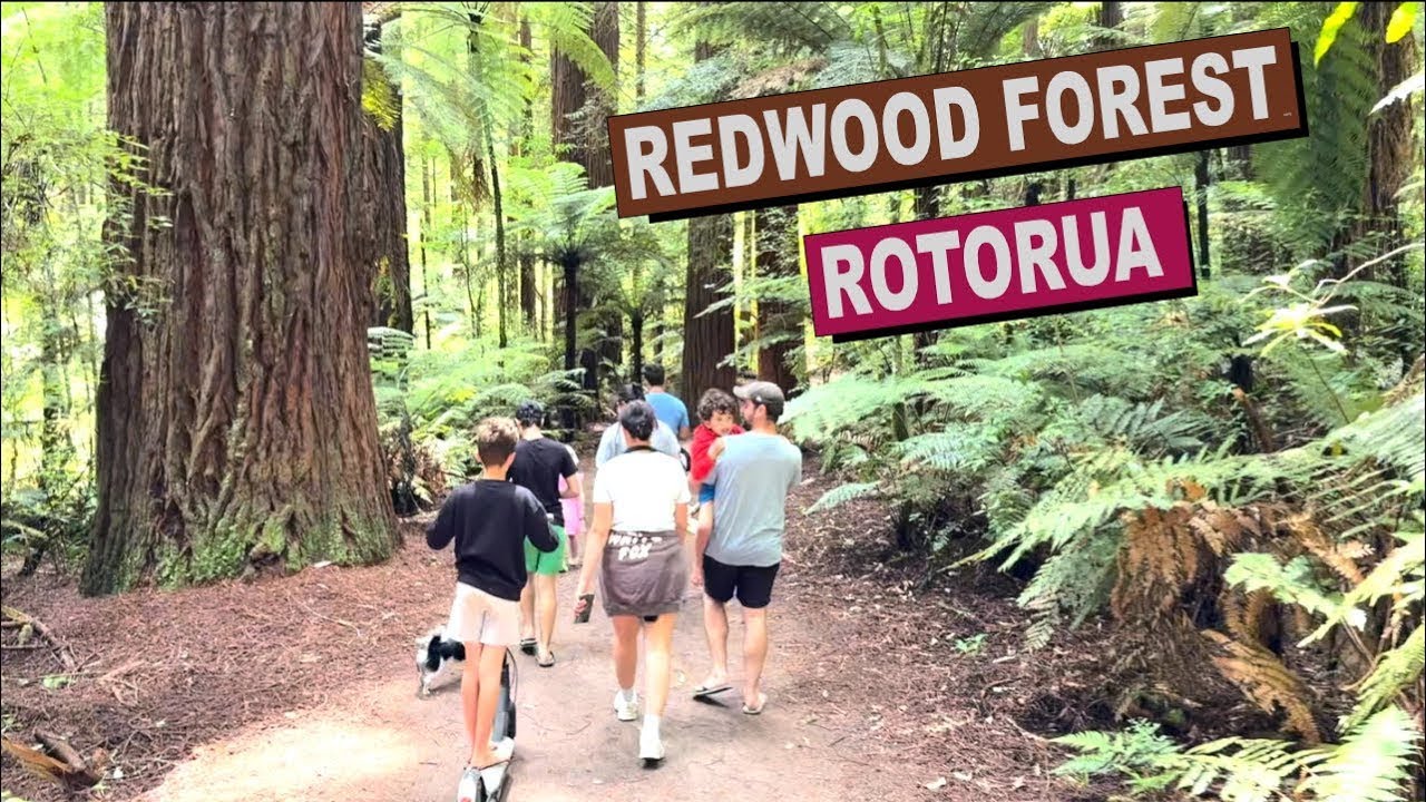 Exploring the Majestic Redwood Forest | Family Adventure in New Zealand