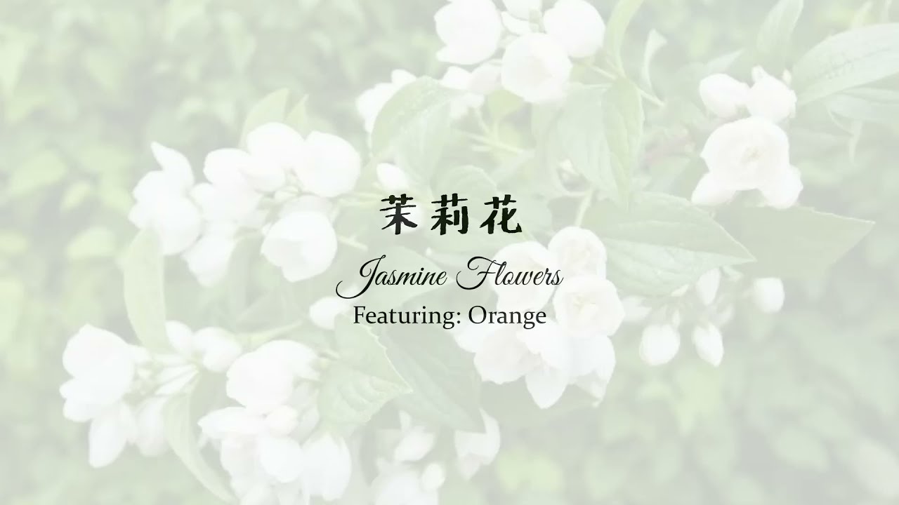 茉莉花 (Jasmine Flowers) [Guzheng Cover]