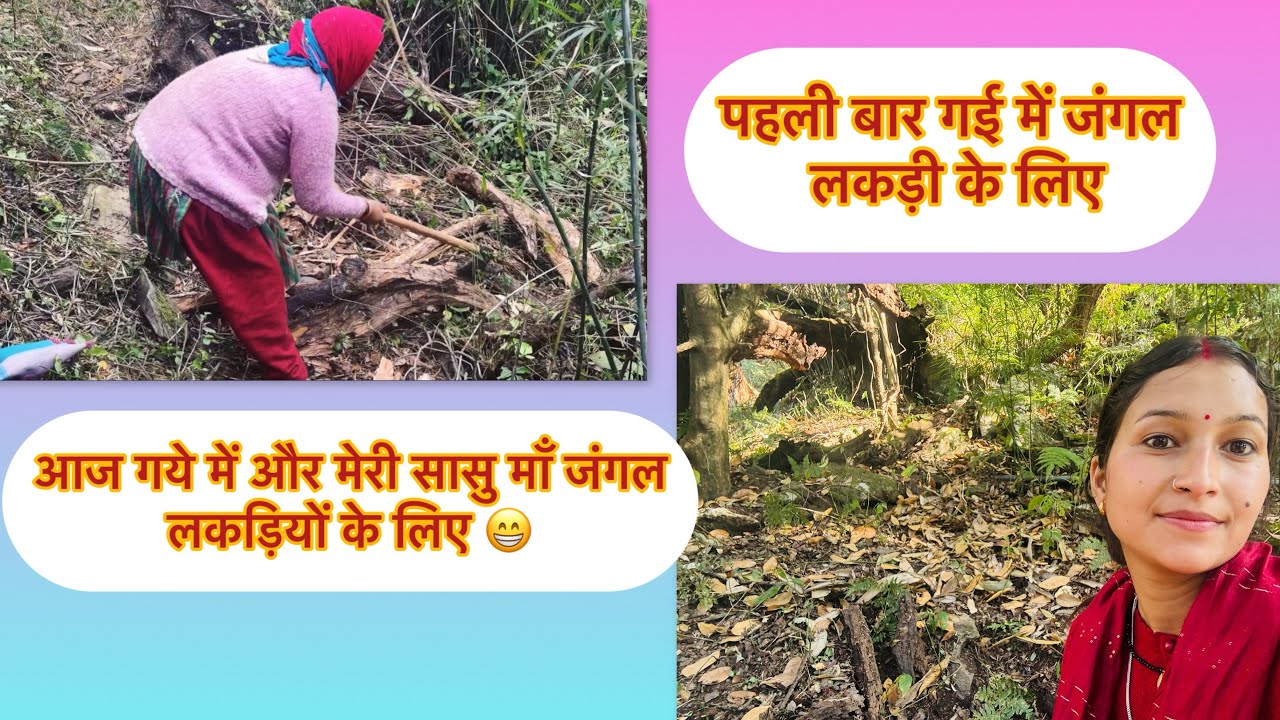 कही महीनों बाद गये हम साथ लकड़ियोंके लिए 😁❤️ #pahadi #vlog #uttarakhand #pahadilifestyle #pahadibahu