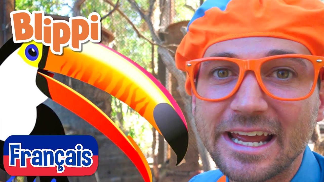 Blippi en français - Blippi visite un zoo (Phoenix Zoo) | Vidéos éducatives pour les enfants