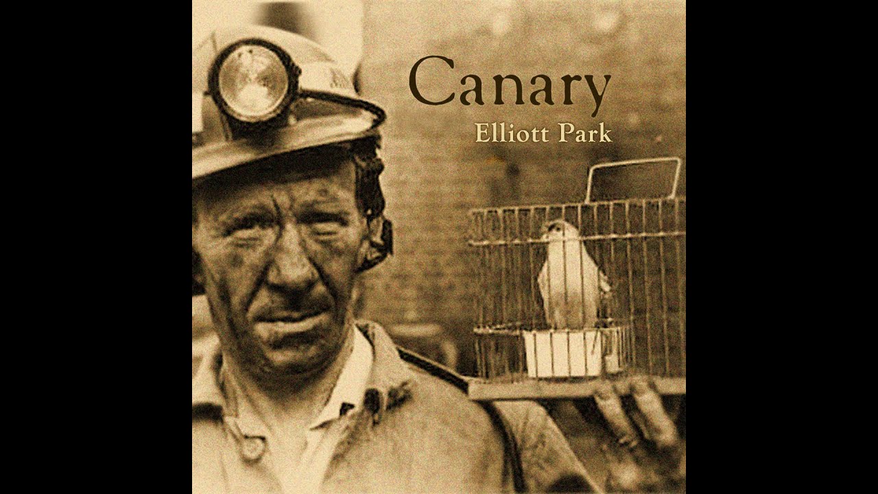 Canary