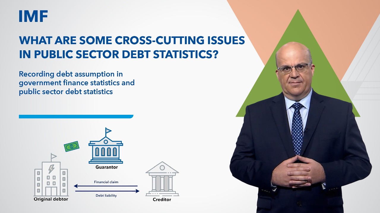 Recording debt assumption in government finance statistics and public sector debt statistics