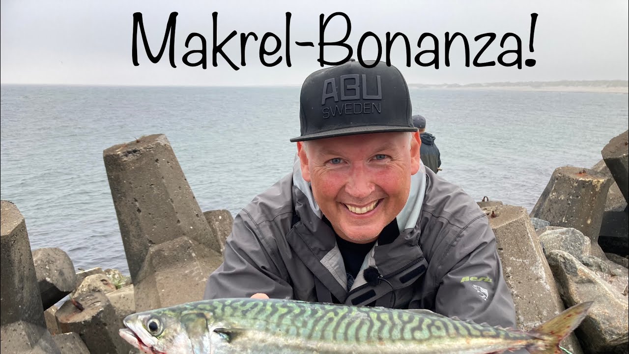 Makrel Bonanza aug. 22