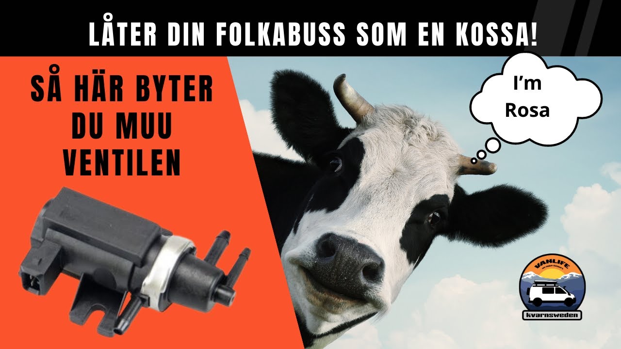 Gör så här! Vi byter N75 aka Muu-Ventilen