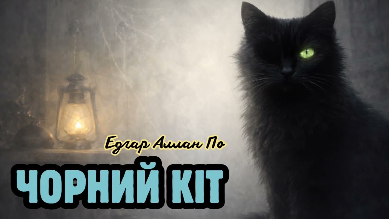 Кіт, що забагато знав #триллер #детективнаісторія #містичніісторії #історіїнаніч