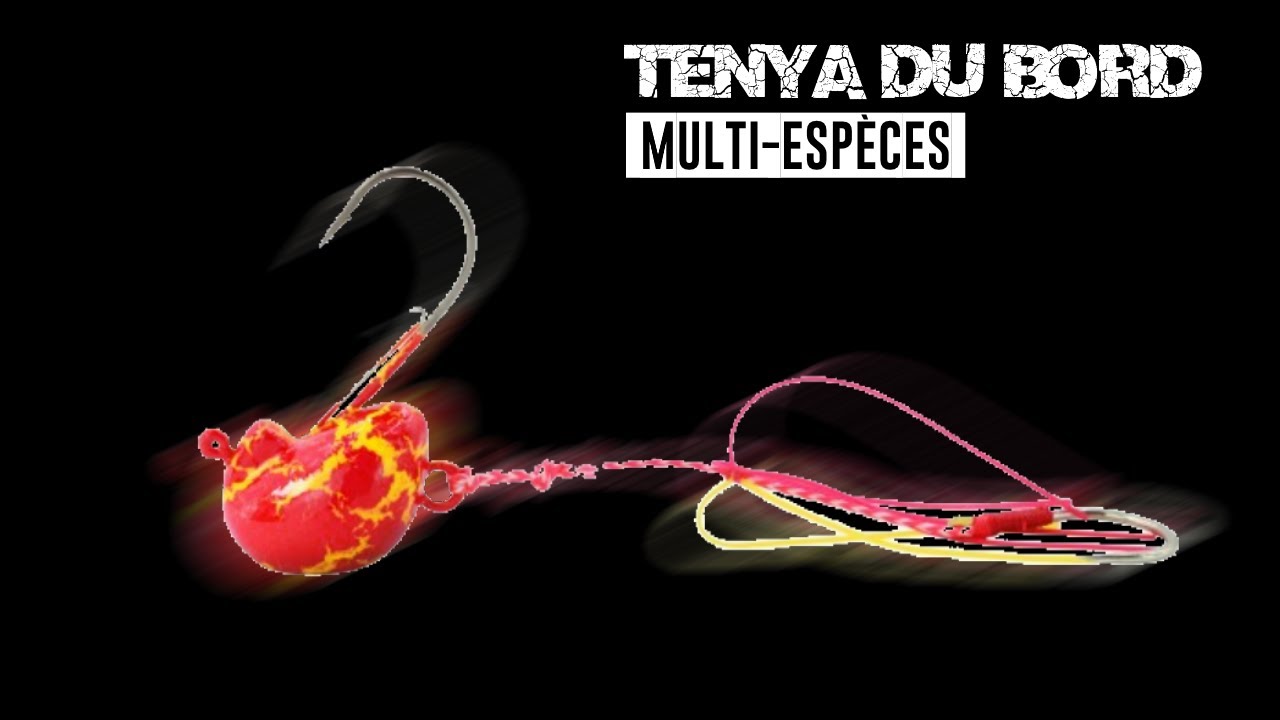 TENYA du BORD, La Meilleure TECHNIQUE en MER ??? bar et multi-espèces