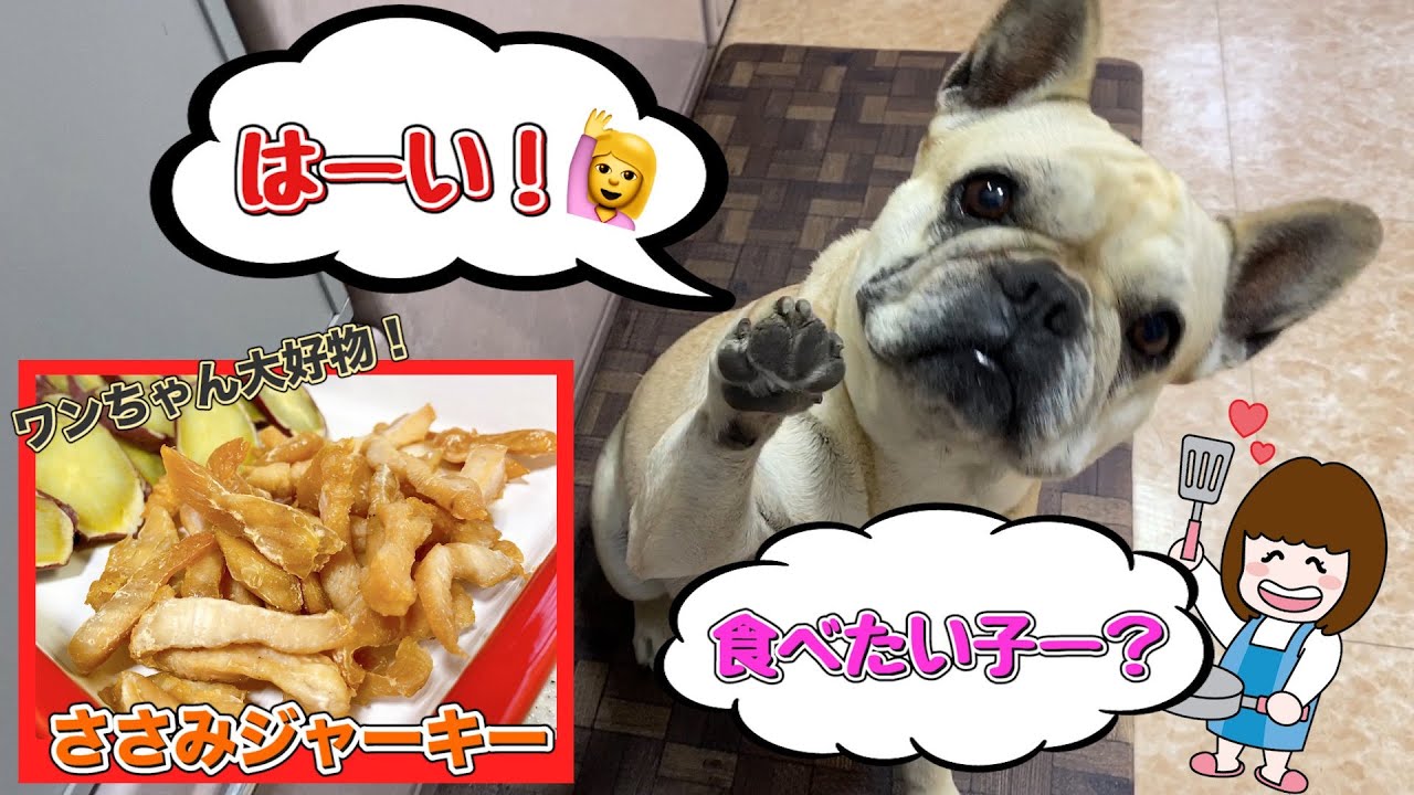 【犬のおやつ】花梅ちゃん好物のささみジャーキー作ってみた！【超簡単】