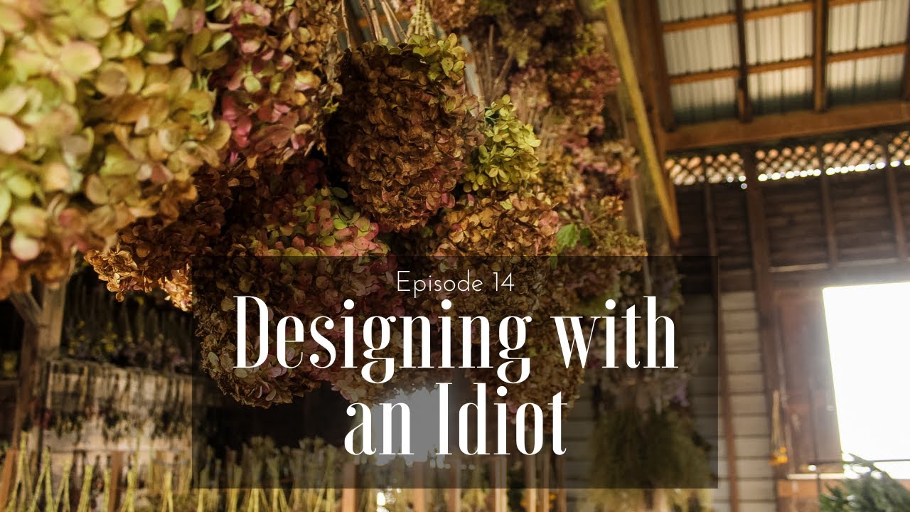 Designing With an Idiot: Dry Your Own Hydrangea!