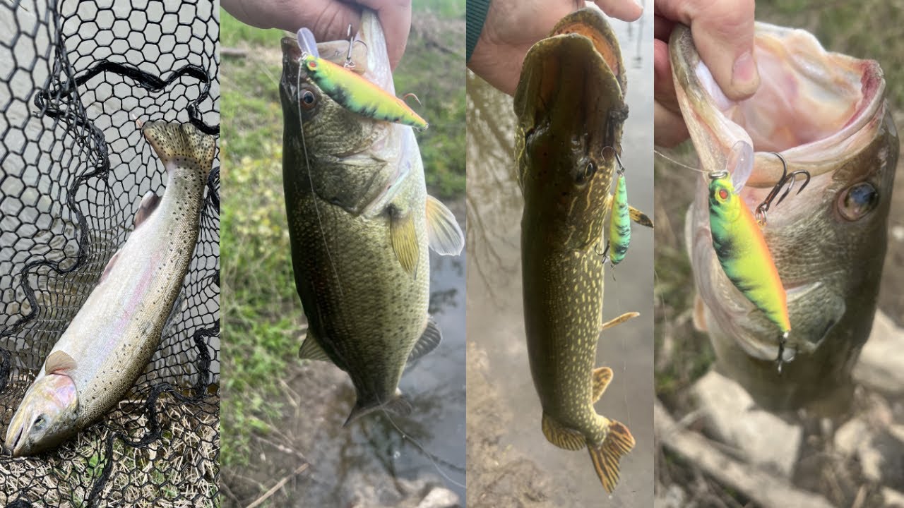 We're Back In The Saddle! Spring Fishing For Steelhead Bass Pike Crappy & Perch! Michigan Fishing
