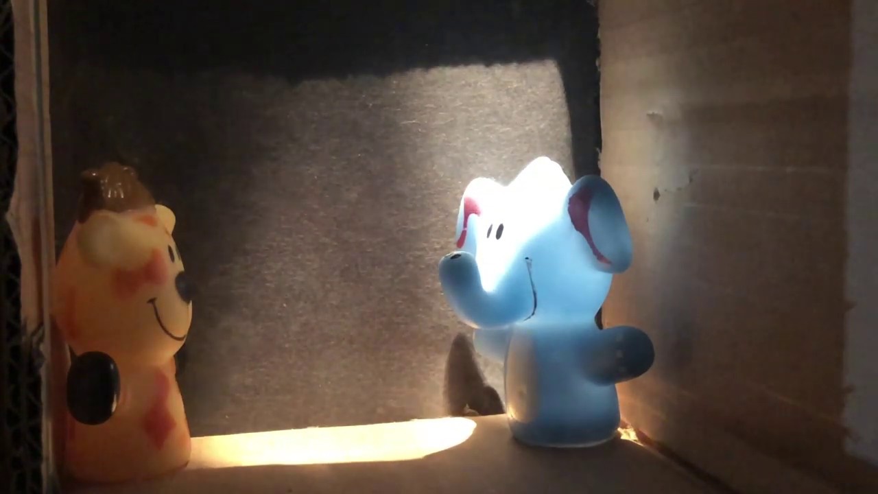 Física en Cuarentena -- El Fantasma de Pepper | Alberto Rojo