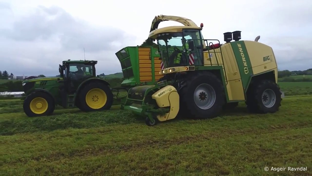 Collecting grass