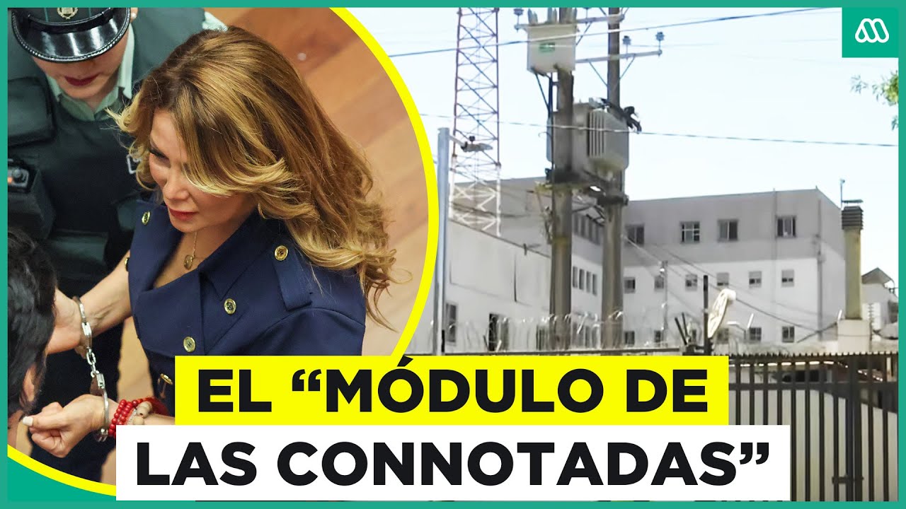 Módulo 2: La celda de Cathy Barriga denominado como 