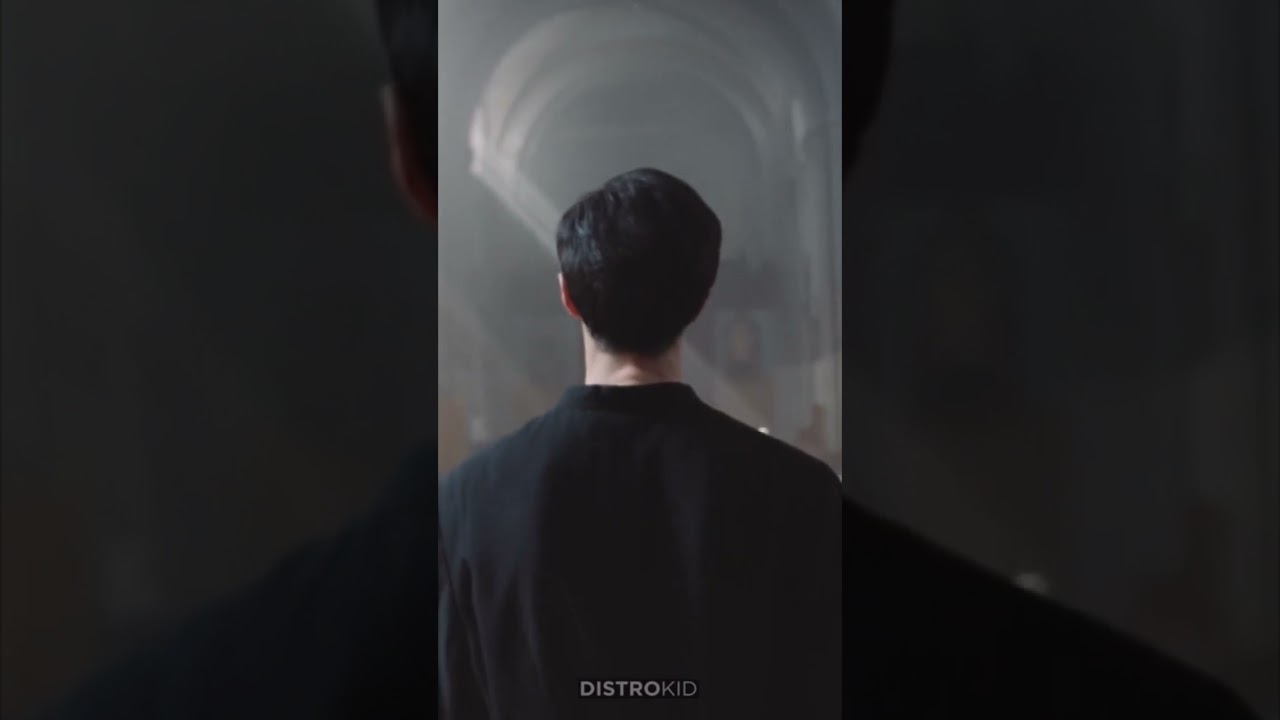 It Is What It Is Ft Aylius (Video) Produced By Freek Van Workum Now Available On All Major Platforms