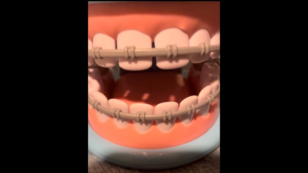 Dentist ASMR with Ella