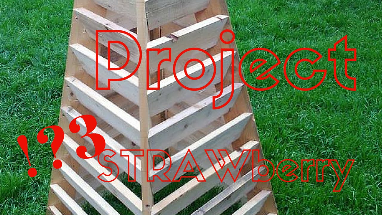 aardbeientoren strawberrytower