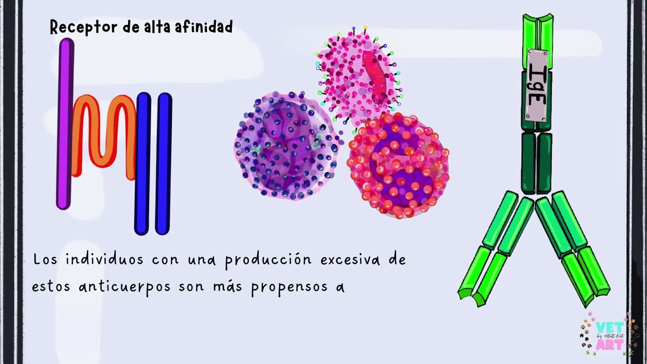 Reacción de hipersensibilidad Tipo 1 y Anafilaxia Parte 2/3