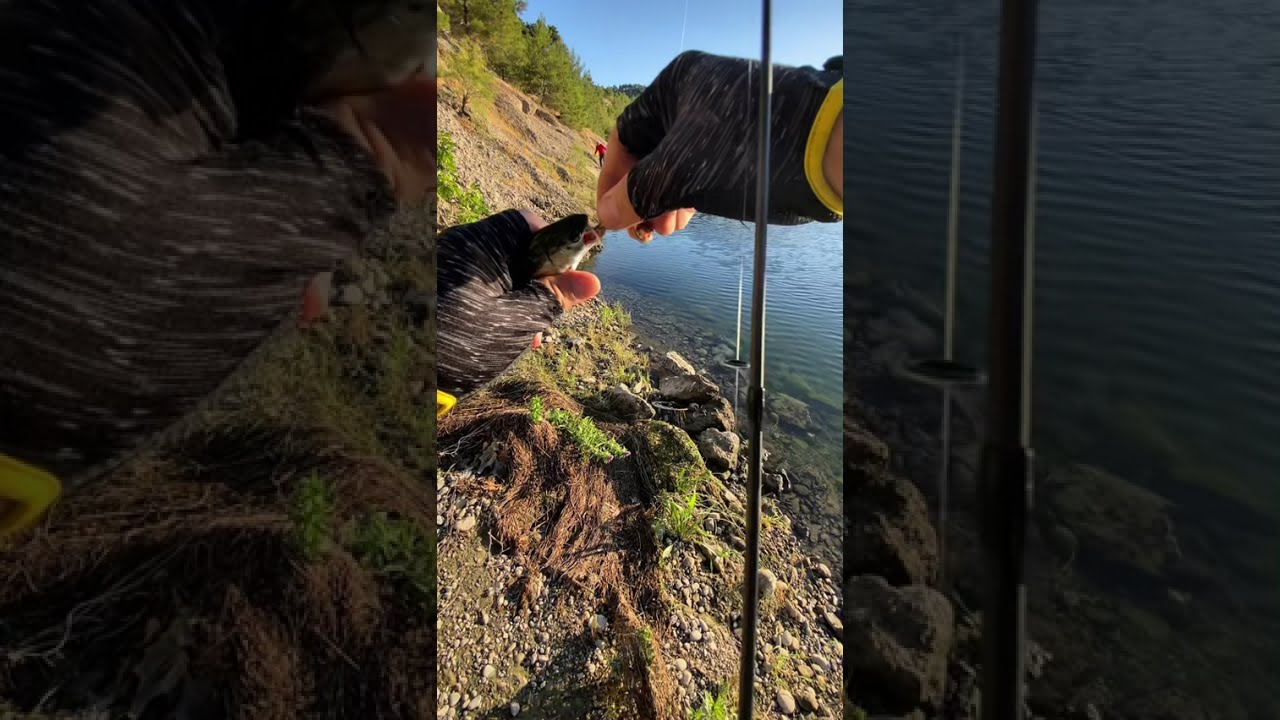 Kısa Zamanda Büyük İşler (Alabalık Avı) #alabalıkavı #troutfishing #taşköprü #kahramanmaraş
